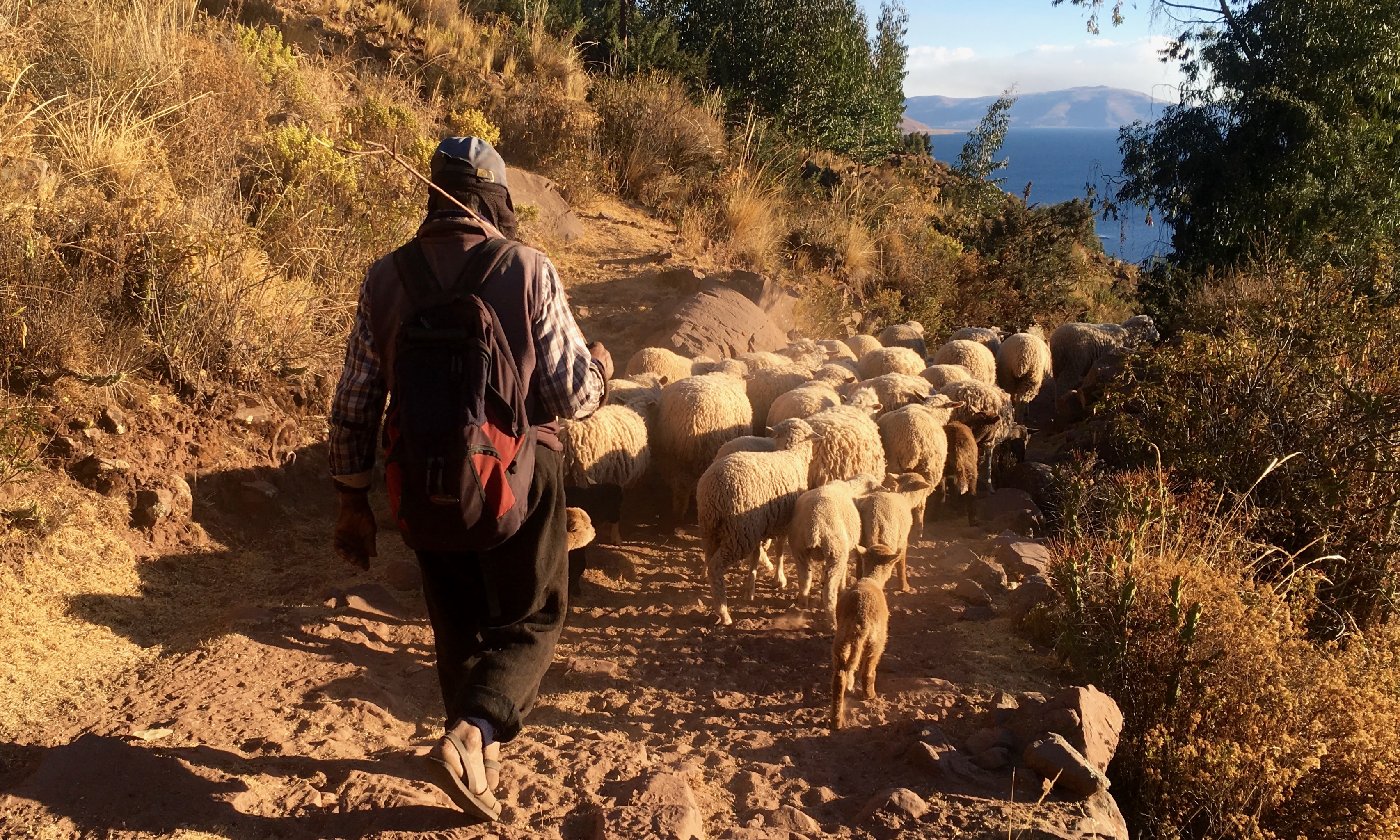 Une journée dans une communauté du Titicaca — ce qu'on y vit vraiment