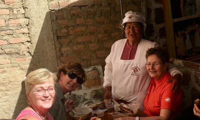 14 days in the Andes: a traveler's journal