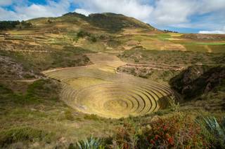 Moray