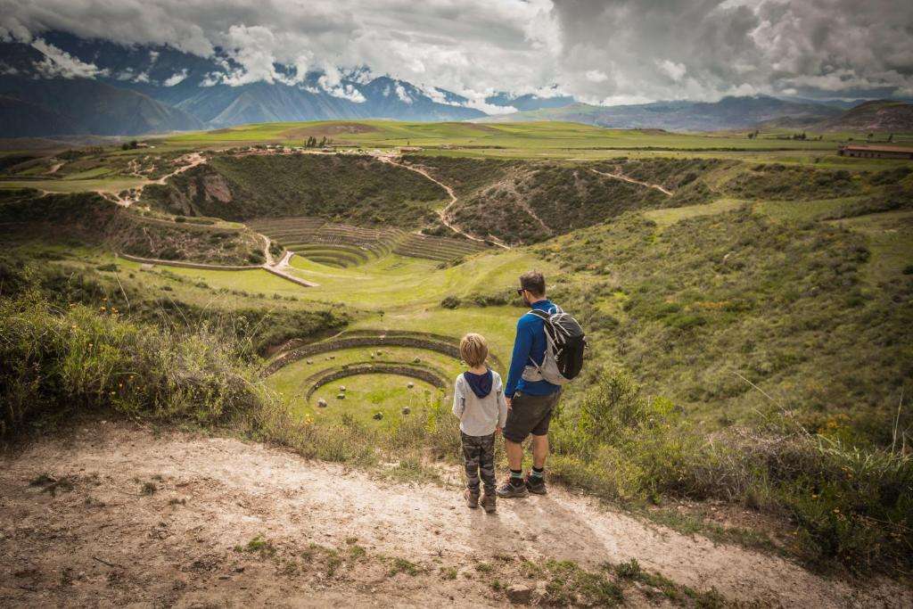 The Intelligence of the Andes
