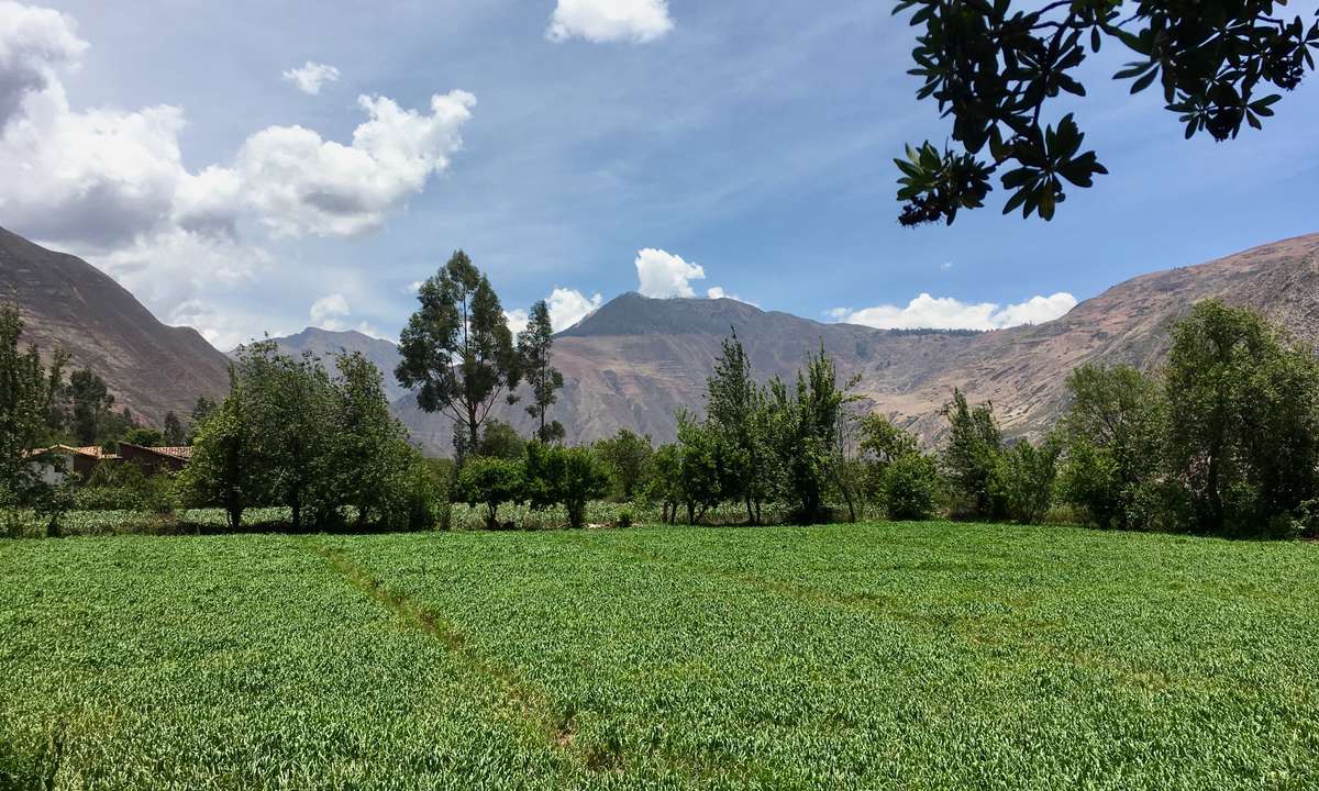 The Hidden Valley