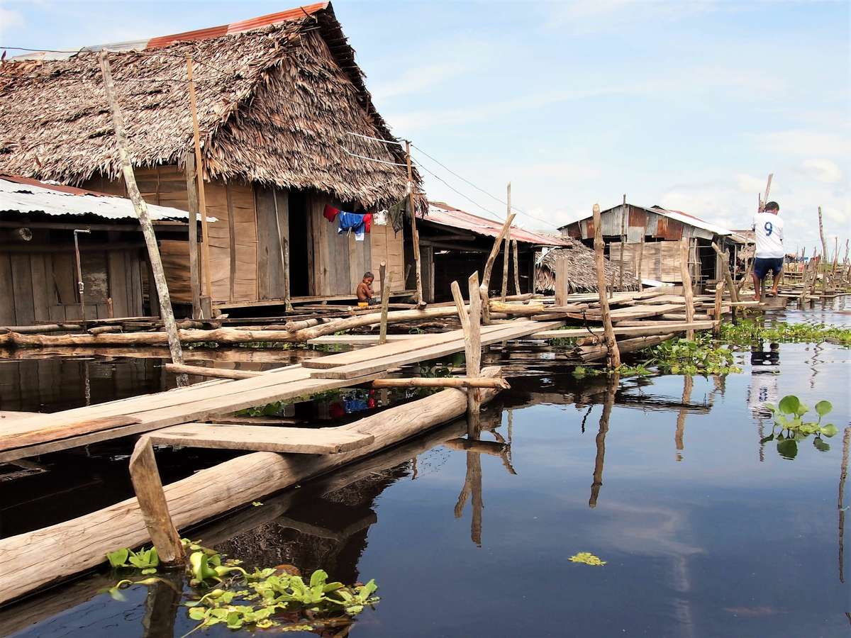 From the Andes to the Amazon