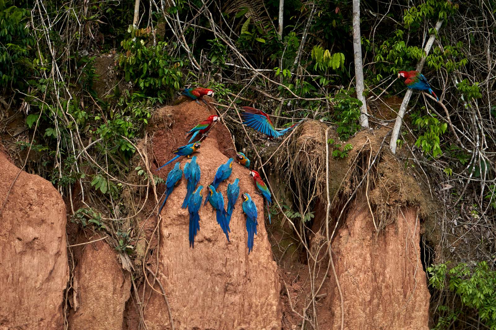 Peru: From the Andes to the Amazon