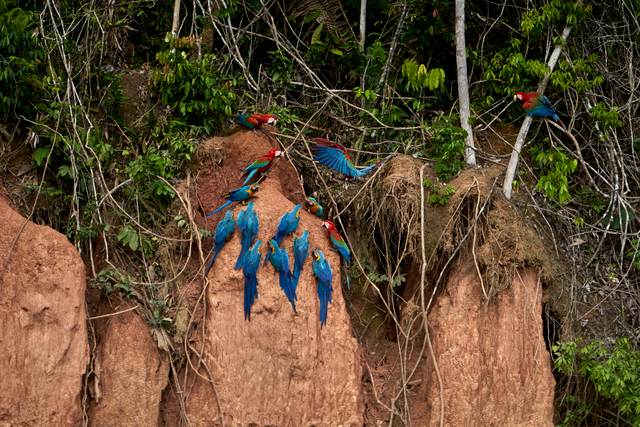 Peru: From the Andes to the Amazon